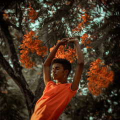 portfolio2