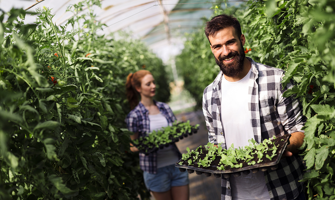 Organic farming