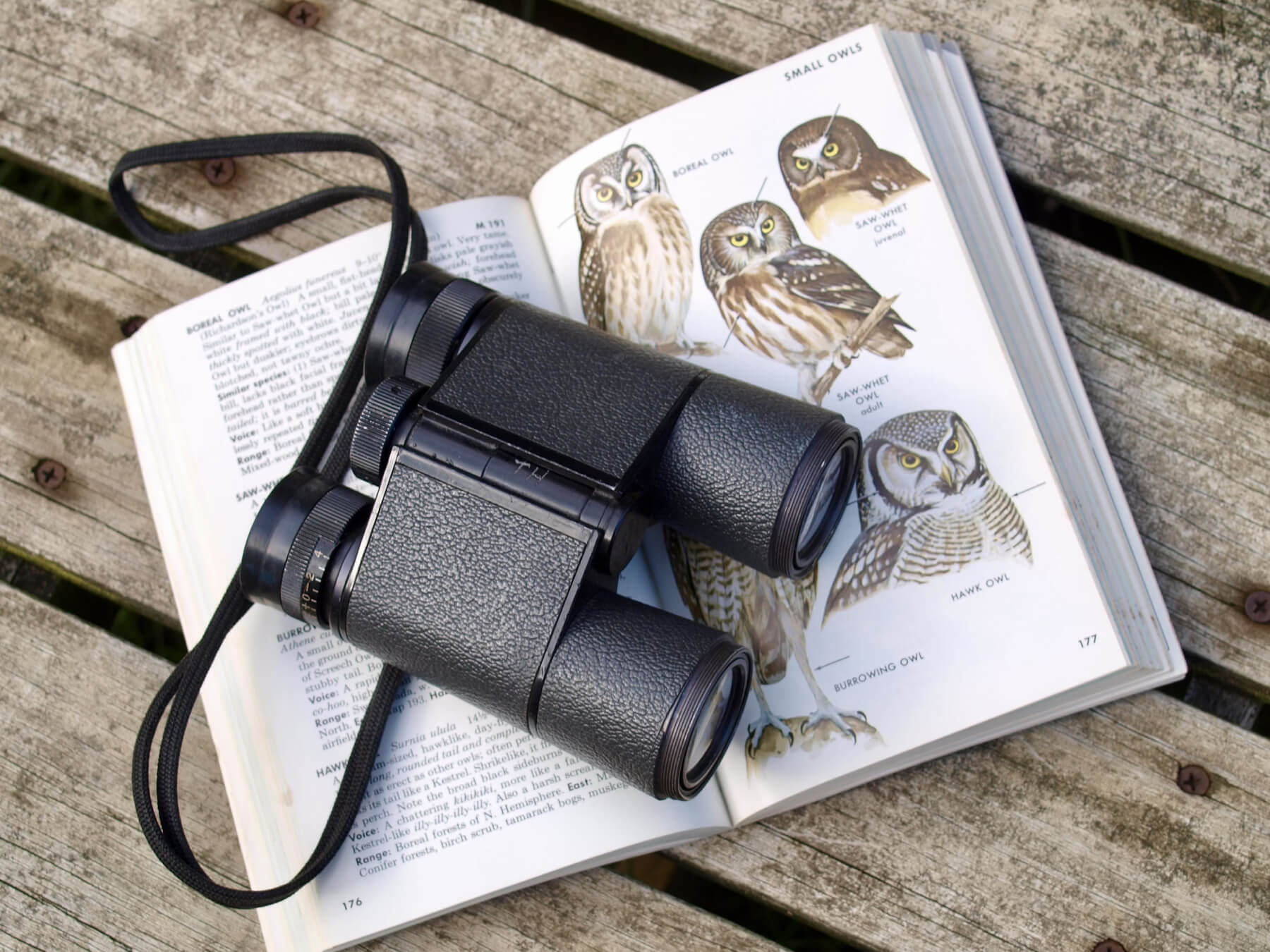 Hoe to choose binoculars for hunting