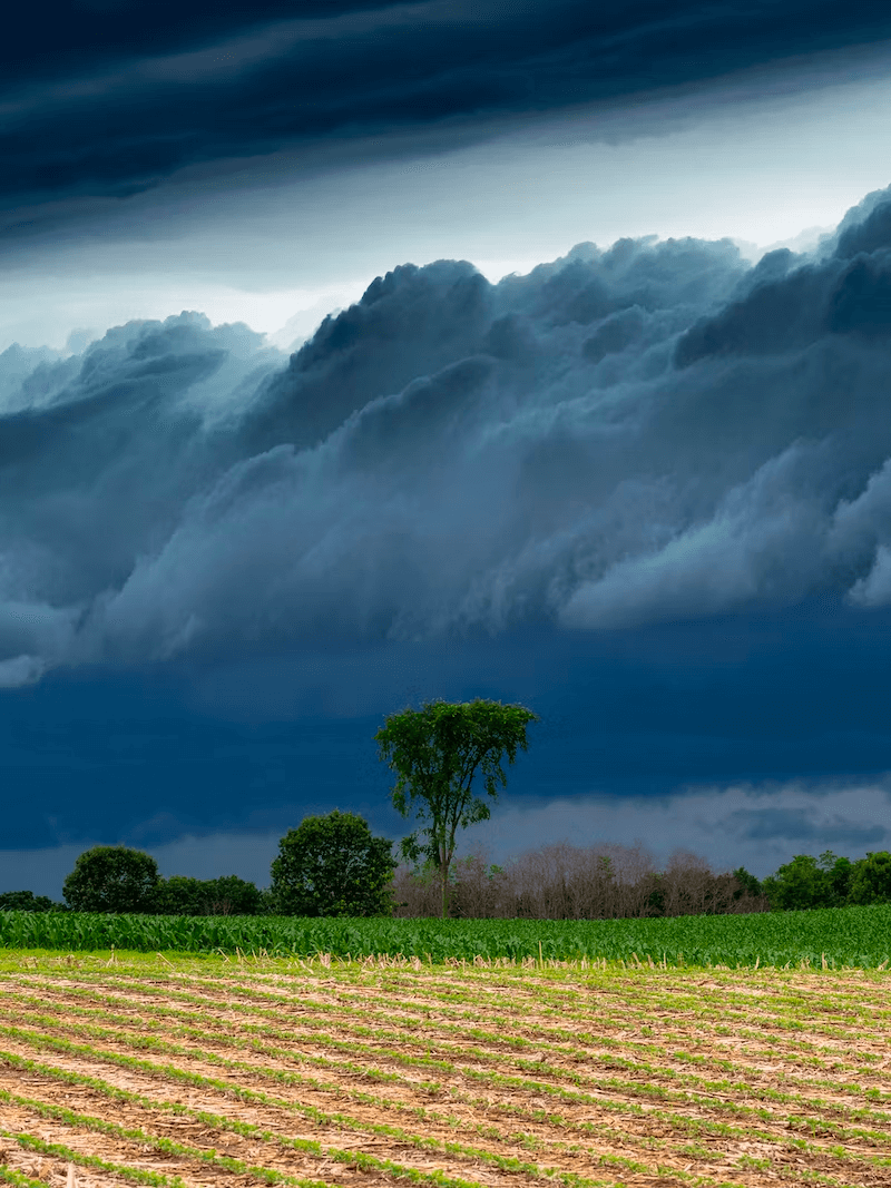 Storms to bring numerous risks in central US