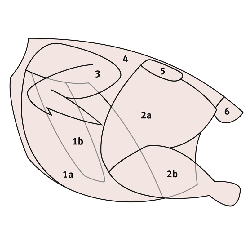 Al-Asyah-Baby-Chicken-2X500G-2