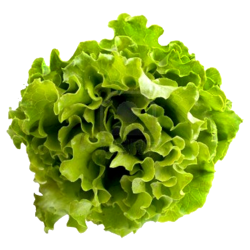 Del-Monte-Leaf-Salad-Bag-2