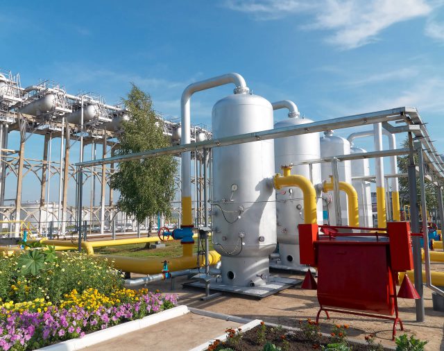 Bunge And Solazyme Expand Joint Venture