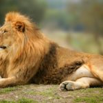 blog4